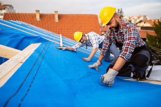 Best Emergency Roof Repair  in Brookville, IN